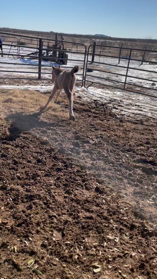Post 5 by Katty_Lynn on TikTok (video)