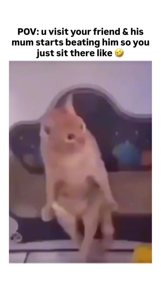 Post 9 by Mandem_Love on TikTok (video)