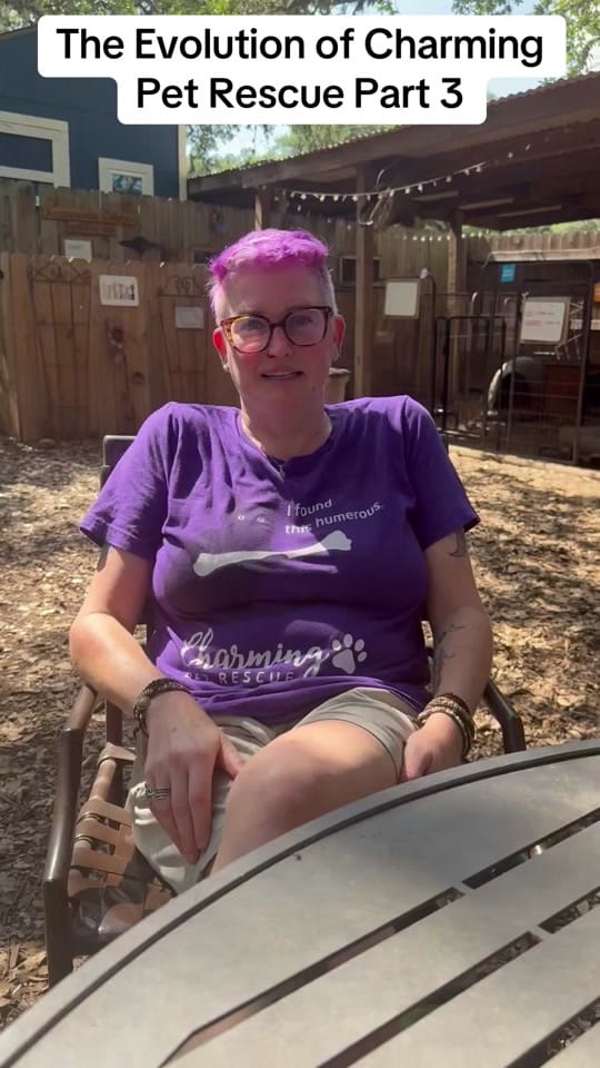 Post 8 by charmingpetrescue on TikTok (video)