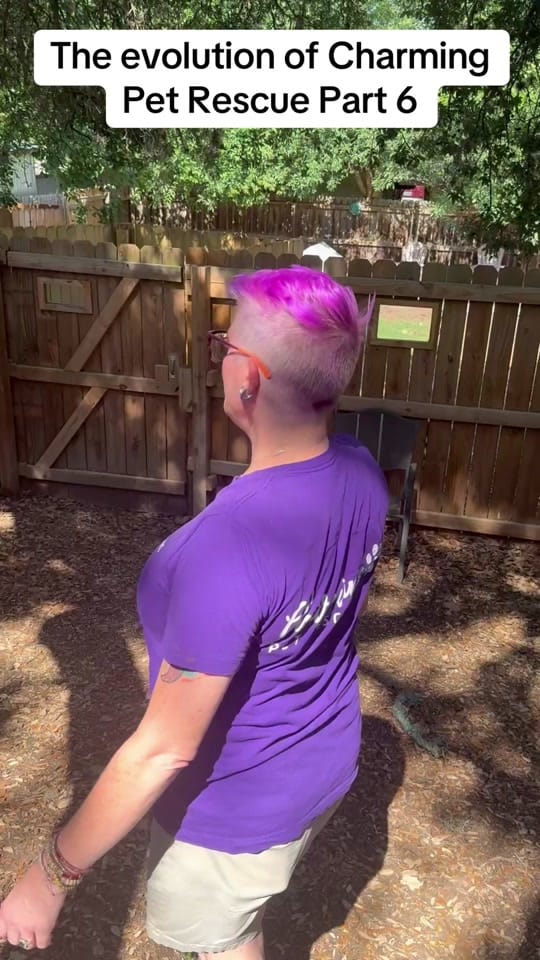 Post 4 by charmingpetrescue on TikTok (video)