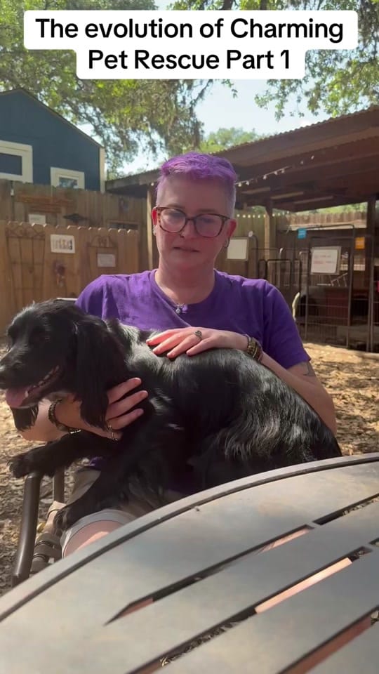 Post 10 by charmingpetrescue on TikTok (video)
