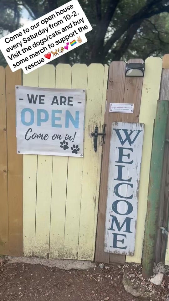Post 7 by charmingpetrescue on TikTok (video)