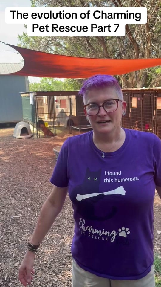 Post 3 by charmingpetrescue on TikTok (video)