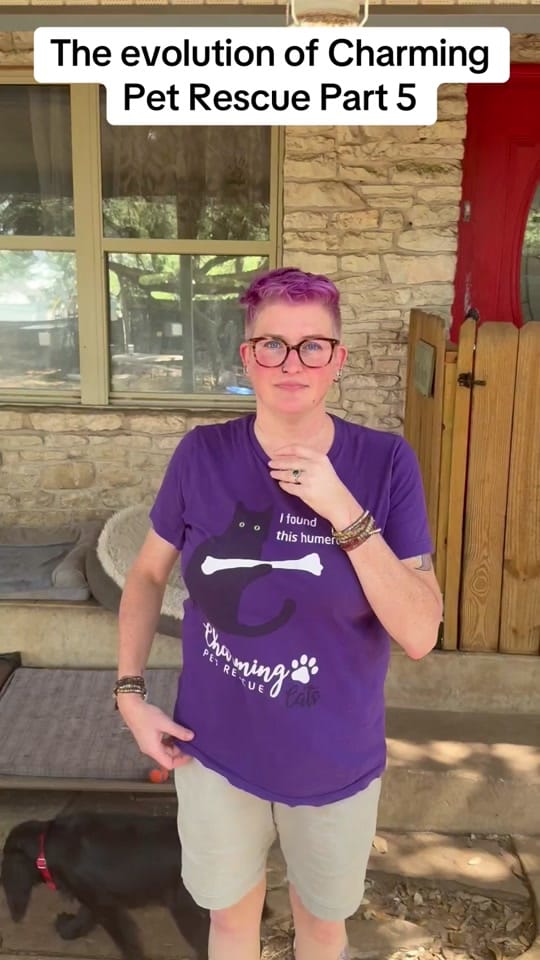 Post 5 by charmingpetrescue on TikTok (video)
