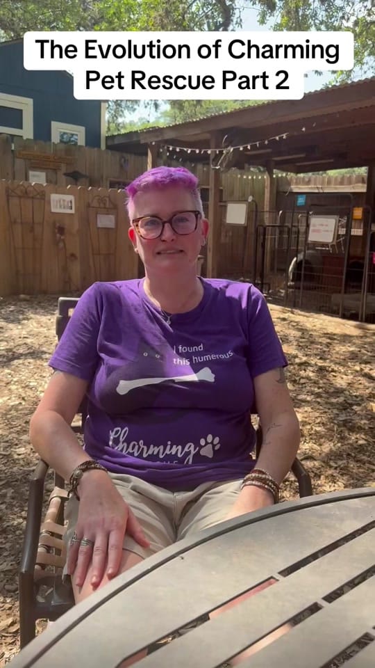 Post 9 by charmingpetrescue on TikTok (video)