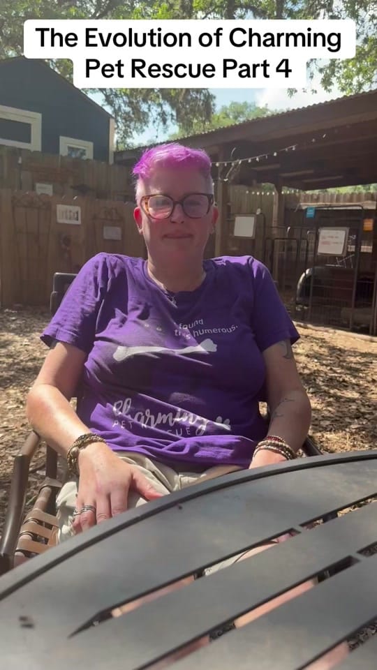 Post 6 by charmingpetrescue on TikTok (video)