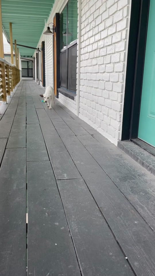 Post 8 by N Heene on TikTok (video)