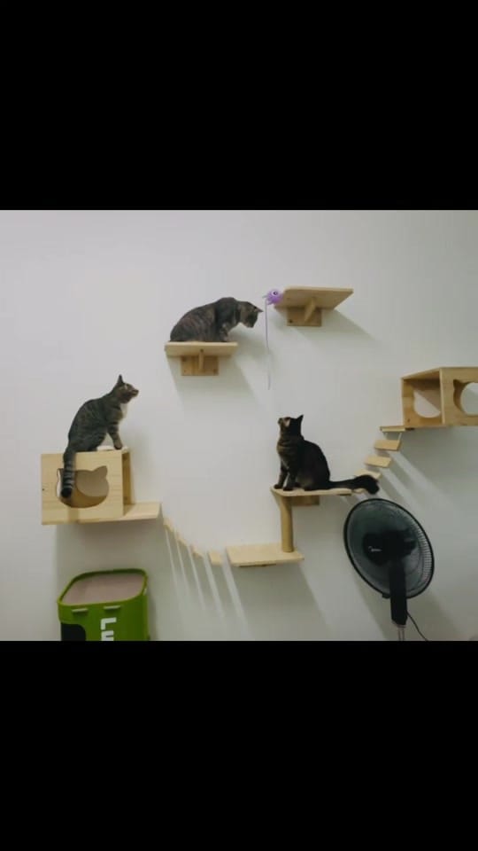 Post 6 by Bonda Emas & Pusaka on TikTok (video)