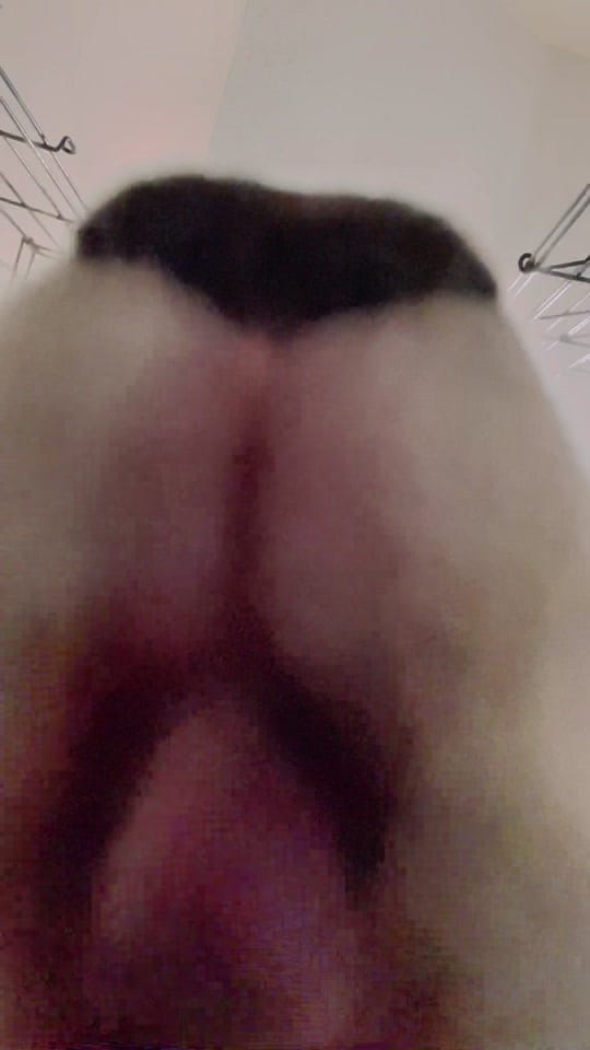 Post 5 by dogtorkatnguyen on TikTok (video)