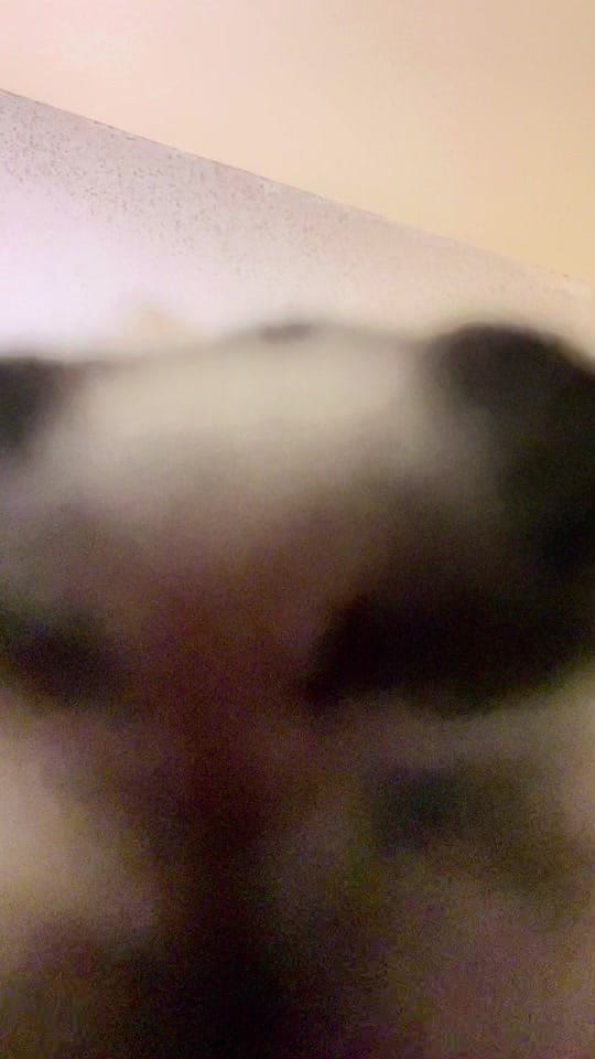 Post 8 by dogtorkatnguyen on TikTok (video)