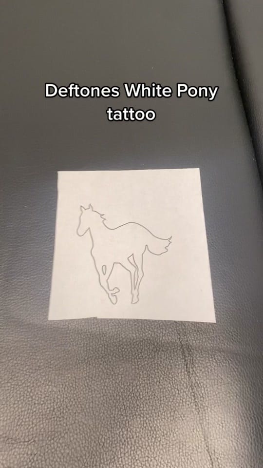 Post 6 by Six on TikTok (video)