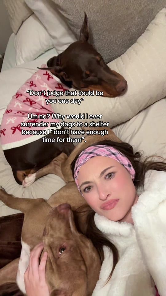 Post 7 by maryals_fosterpals on TikTok (video)
