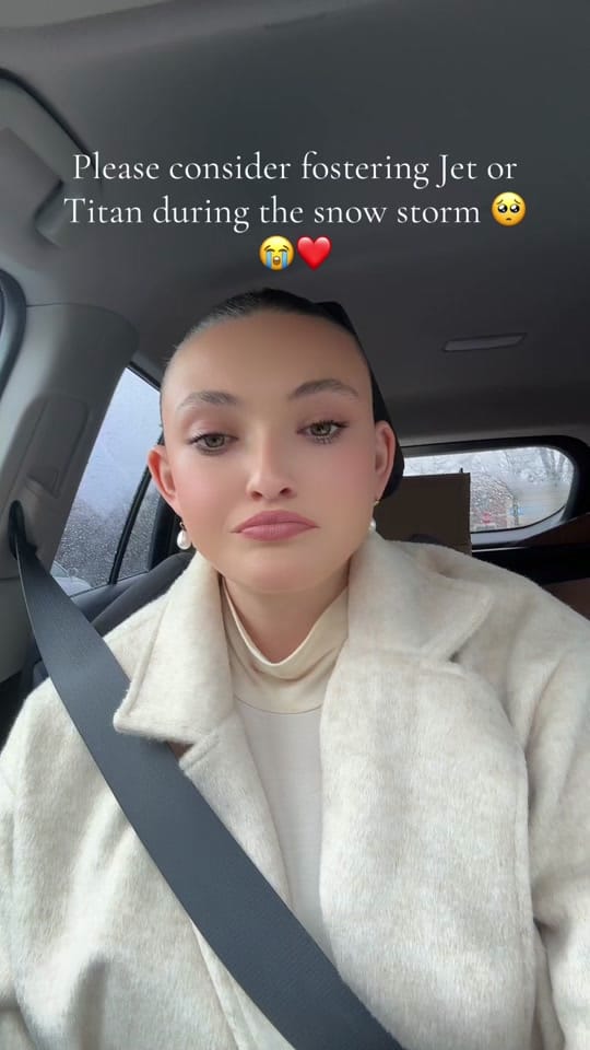 Post 2 by maryals_fosterpals on TikTok (video)