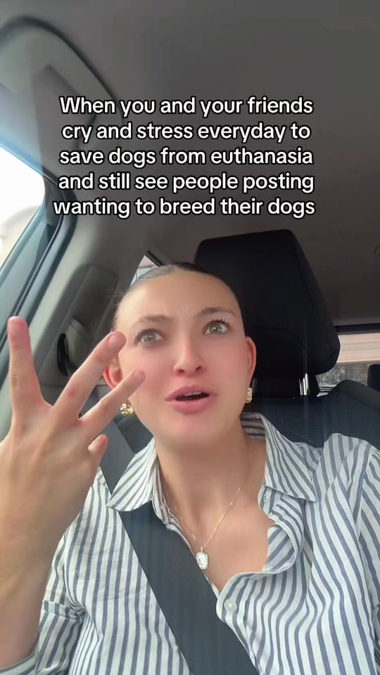 Post 5 by maryals_fosterpals on TikTok (video)