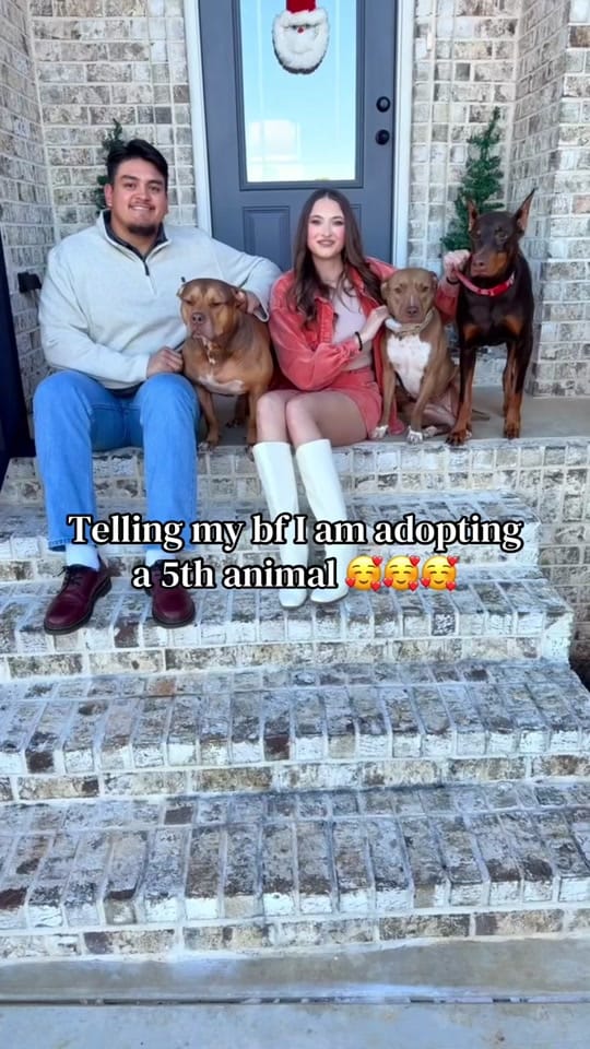 Post 1 by maryals_fosterpals on TikTok (video)