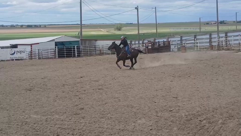 Post 2 by barrelracing2rodeo on TikTok (video)