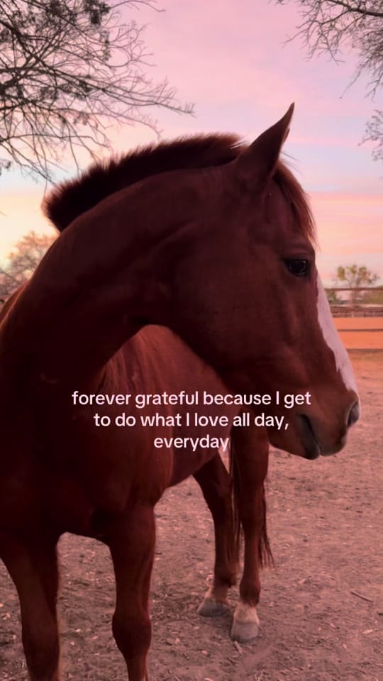 Post 6 by Harper on TikTok (video)