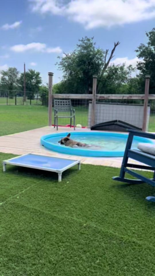 Post 8 by joyhhr on TikTok (video)