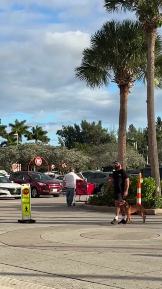 Post 3 by Caio Fonseca on TikTok (video)