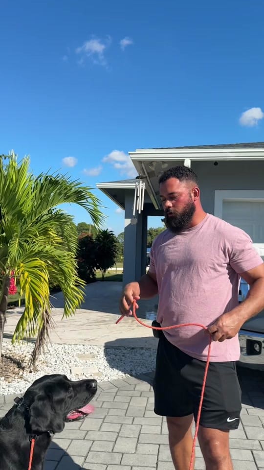 Post 7 by Caio Fonseca on TikTok (video)