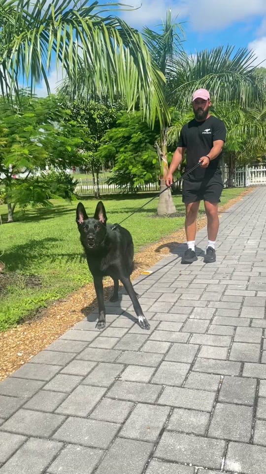 Post 8 by Caio Fonseca on TikTok (video)