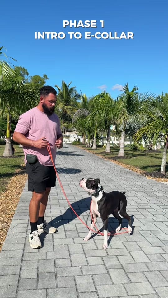 Post 9 by Caio Fonseca on TikTok (video)