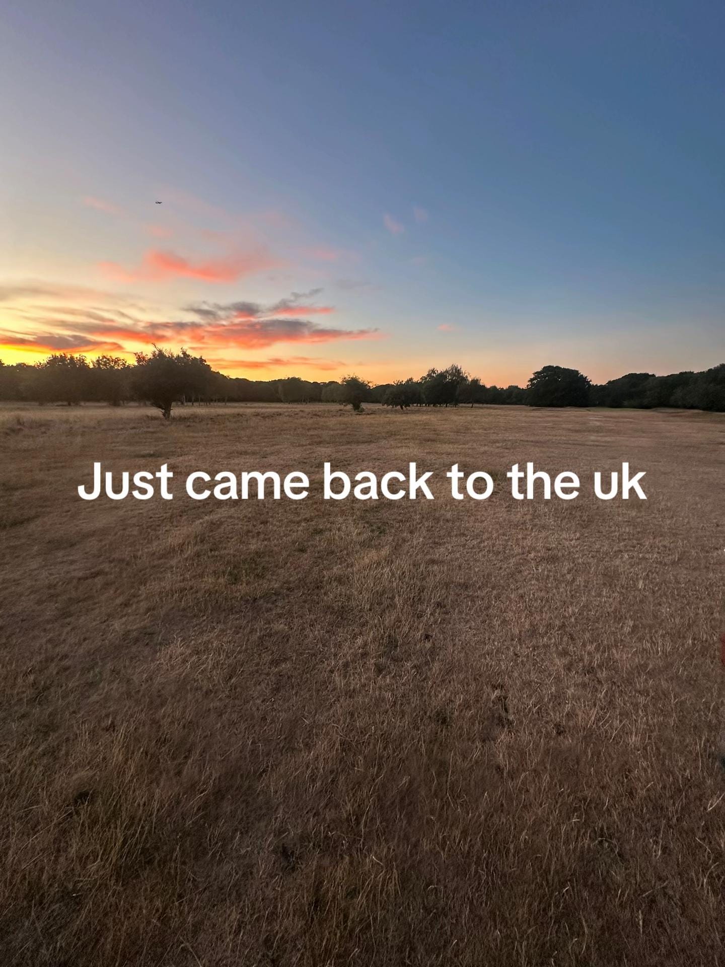 Post 2 by 1Jayden on TikTok (video)
