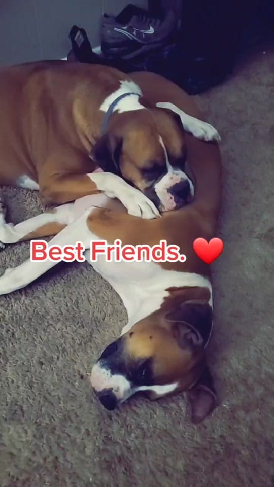 Post 9 by Chris Goodrich on TikTok (video)