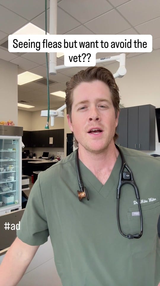 Post 1 by dr.mikewalker on TikTok (video)