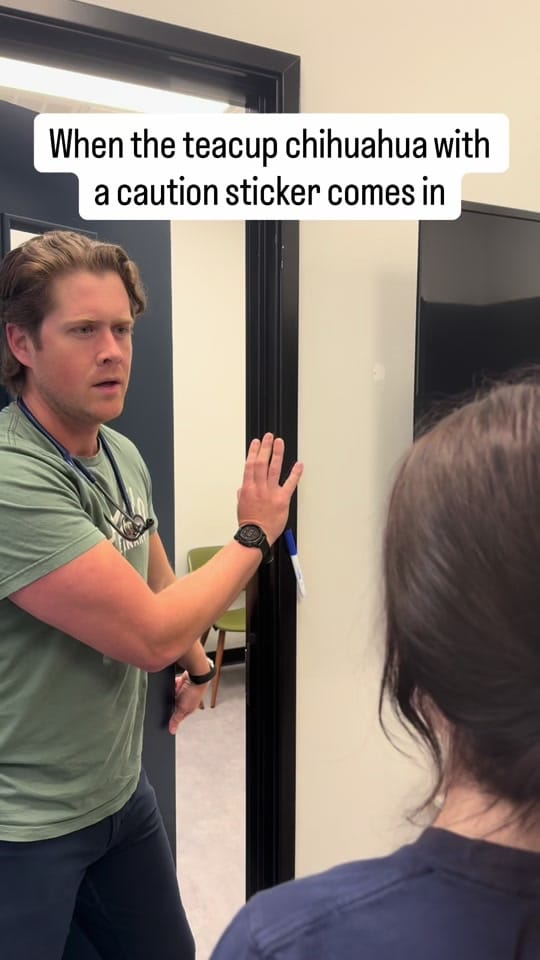 Post 8 by dr.mikewalker on TikTok (video)