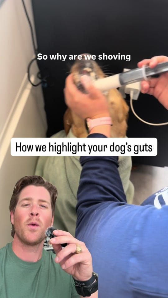 Post 2 by dr.mikewalker on TikTok (video)
