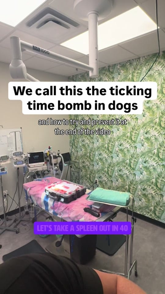 Post 10 by dr.mikewalker on TikTok (video)