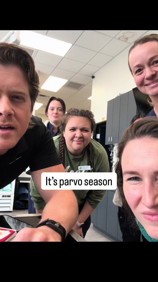 Post 3 by dr.mikewalker on TikTok (video)