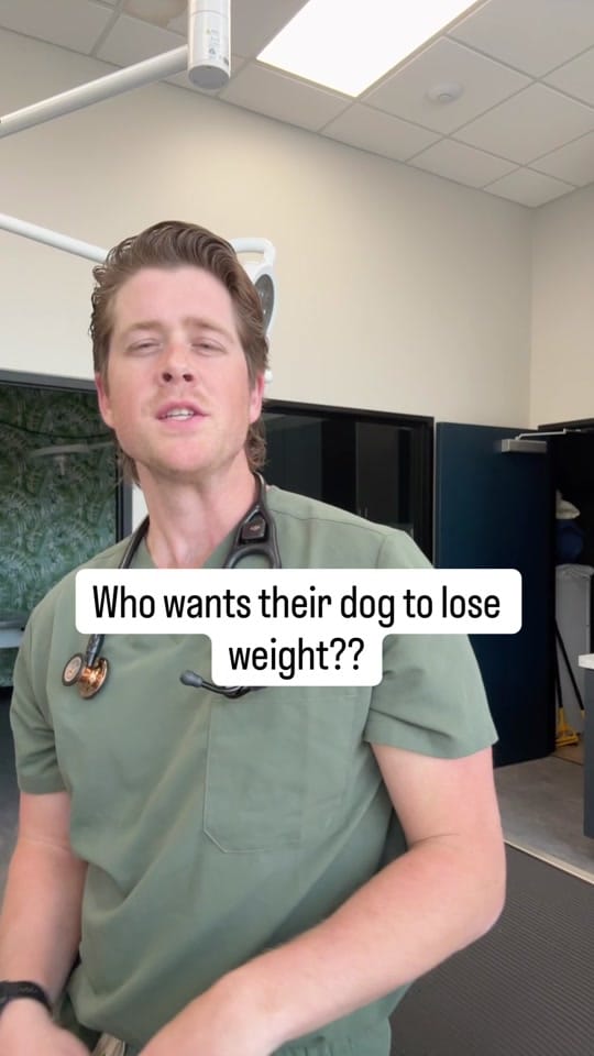 Post 4 by dr.mikewalker on TikTok (video)
