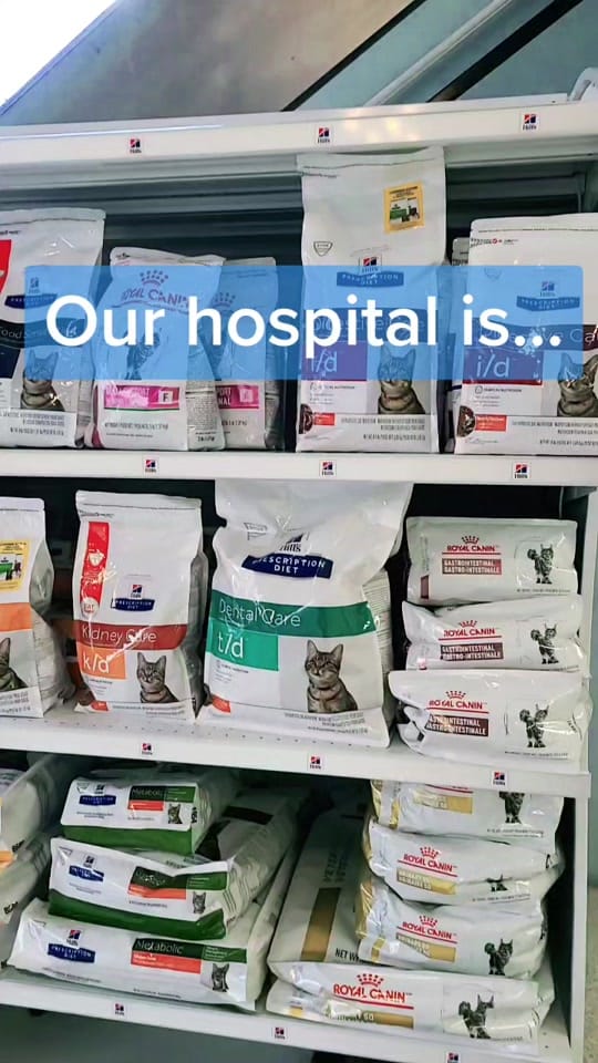 Post 6 by Animal Medical & Surgical Hosp on TikTok (video)