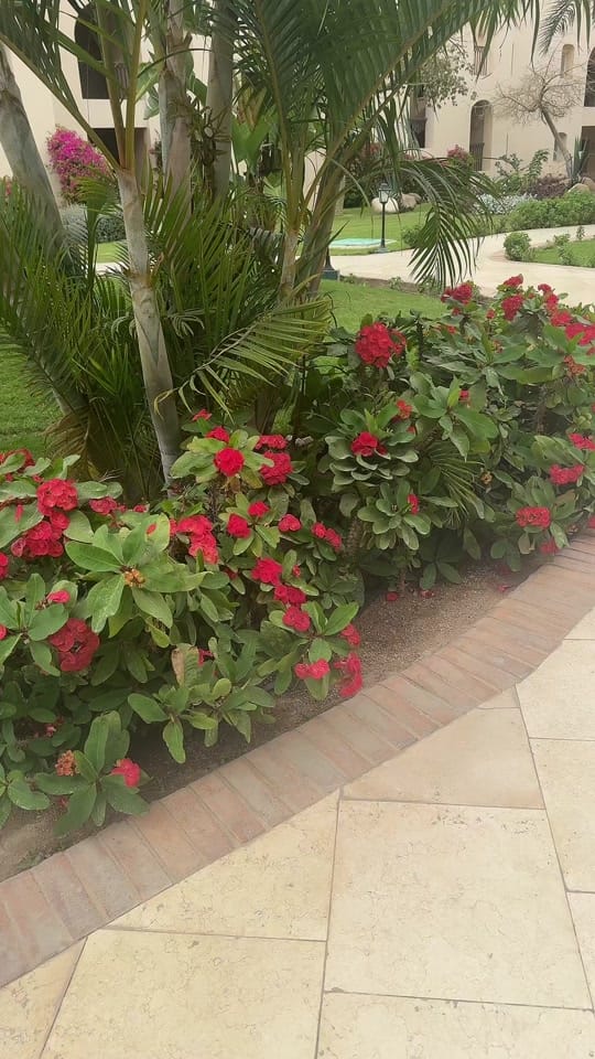 Post 4 by LeleRocket on TikTok (video)
