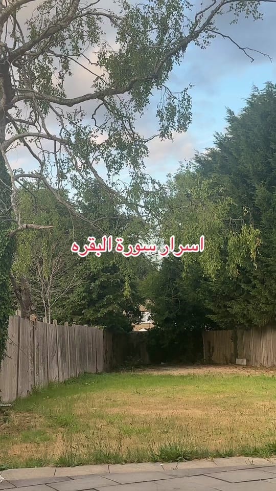 Post 8 by Amira 👑 on TikTok (video)