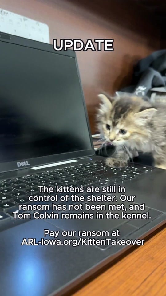Post 3 by Animal Rescue League of Iowa on TikTok (video)