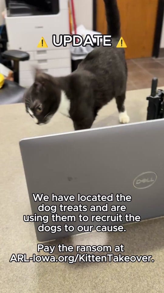 Post 2 by Animal Rescue League of Iowa on TikTok (video)
