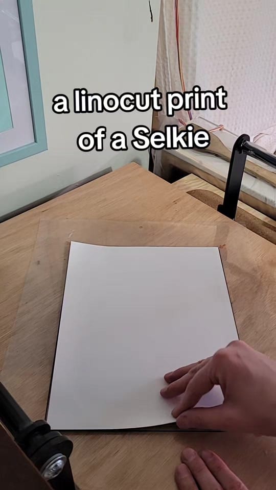 Post 5 by erin 🇨🇦 on TikTok (video)