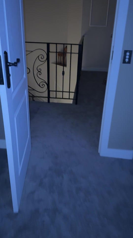 Post 7 by Pet UGC Creator👑KING KINGSLEY on TikTok (video)