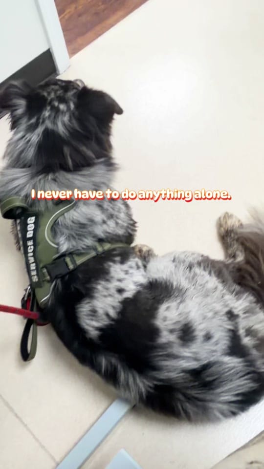 Post 5 by Brooke Jordan on TikTok (video)