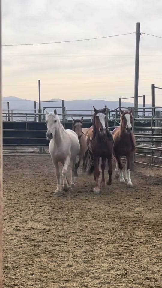 Post 9 by Brooke Jordan on TikTok (video)