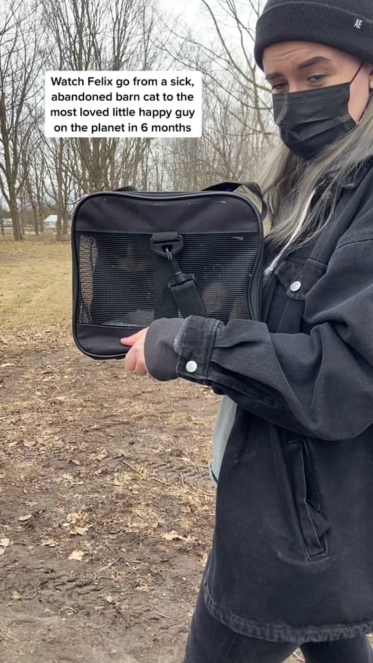 Post 8 by kj forman on TikTok (video)