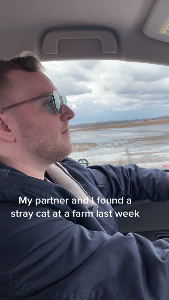 Post 9 by kj forman on TikTok (video)
