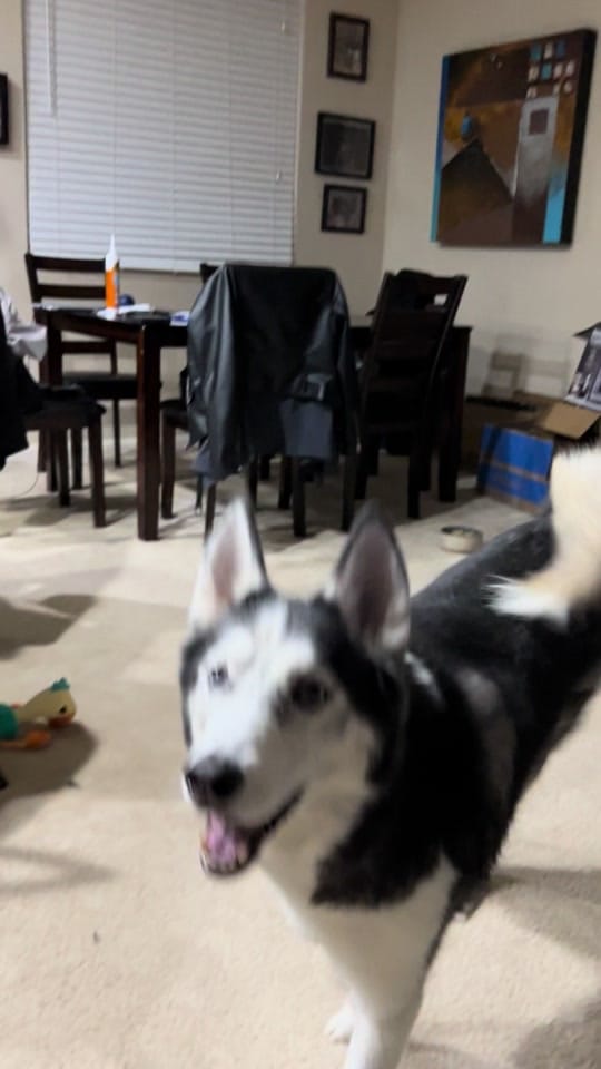 Post 9 by Heather Davis on TikTok (video)
