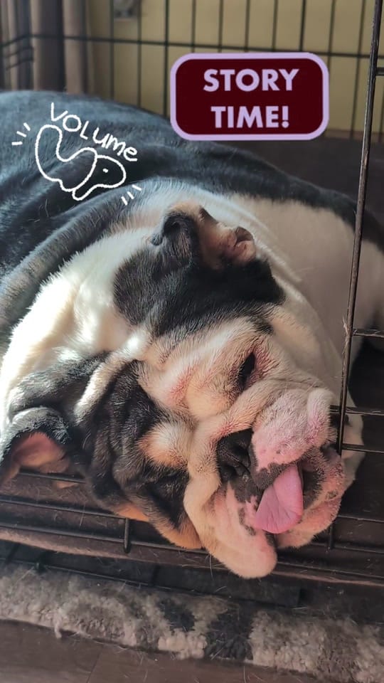 Post 10 by Wendy and Rolo on TikTok (video)