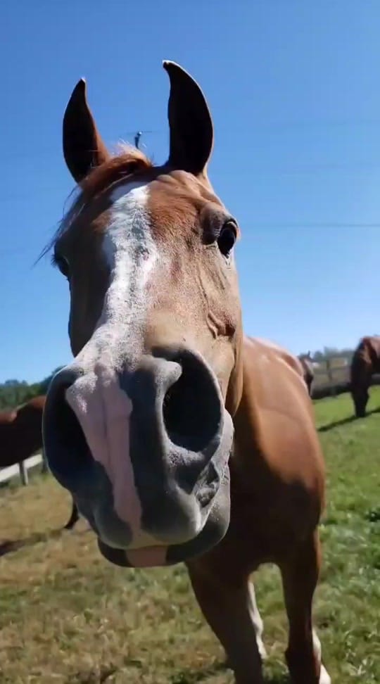 Post 9 by Kait on TikTok (video)