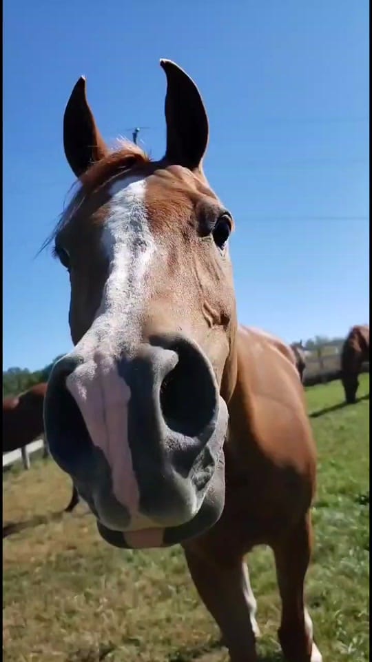 Post 7 by Kait on TikTok (video)
