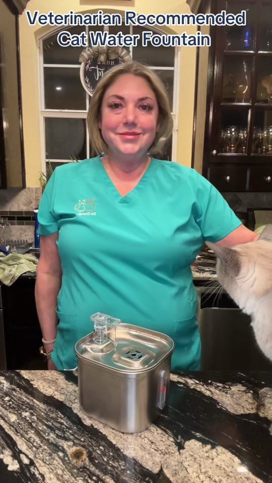 Post 4 by DrRenaDunahooPetVet on TikTok (video)